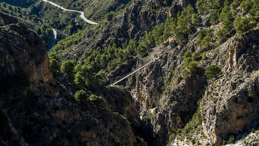 Descubre La Ruta De El Saltillo